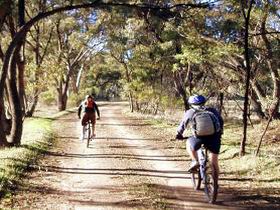Bike About Mountain Bike Tours And Hire - Find Attractions 0
