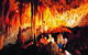 Kelly Hill Caves And Conservation Park - thumb 0