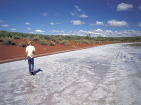 Lake Gairdner National Park - Find Attractions 0