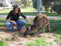 Book Keith Accommodation Vacations Find Attractions Find Attractions