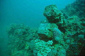 Adelaide's Underwater Heritage Trail - Find Attractions 0