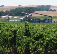 Kirrihill Wines - Find Attractions