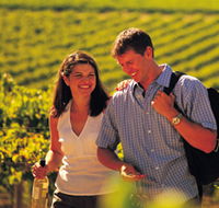 Lady Bay Vineyard - Find Attractions