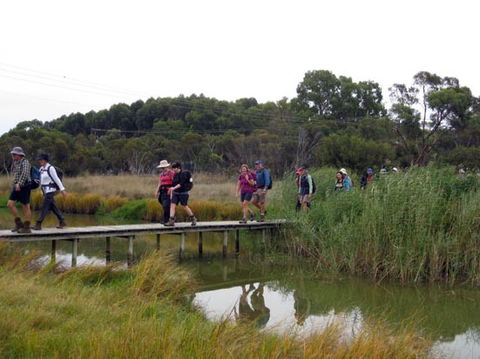 Lavender Federation Trail - Find Attractions 1