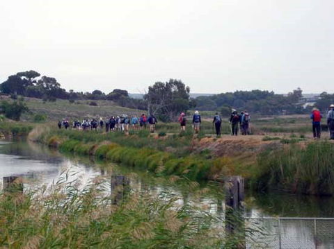 Lavender Federation Trail - Find Attractions 2