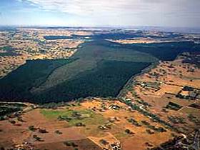 Mount Crawford Forest Reserve Williamstown