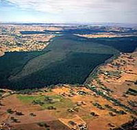 Mount Crawford Forest Reserve - Find Attractions