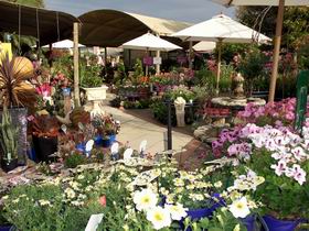 Serenity Nursery Murray Bridge