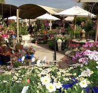 Serenity Nursery - Find Attractions
