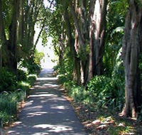 Adelaide Botanic Garden - Find Attractions