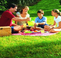 Bruny Island Berry Farm - Find Attractions