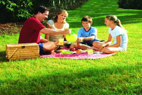 Bruny Island Berry Farm - Find Attractions 0