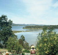 Inverawe Native Gardens - Find Attractions