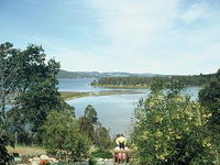 Inverawe Native Gardens