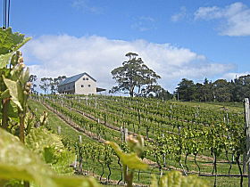 Bruny Island Premium Wines Bar And Grill - Find Attractions 0