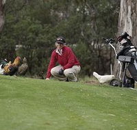 Tasmania Golf Club - The - Find Attractions
