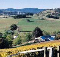 Freycinet Vineyards Pty Ltd - Find Attractions