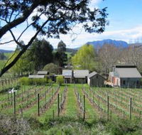 Wilmot Hills Vineyard - Find Attractions