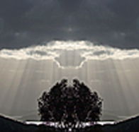 aart. Gallery of Fine Art - Find Attractions