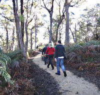 Bridport Walking Track - Find Attractions