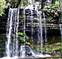 Mt Field National Park - Find Attractions