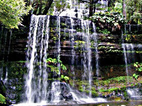 Mt Field National Park - Find Attractions 0