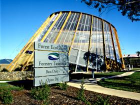 Scottsdale TAS Find Attractions