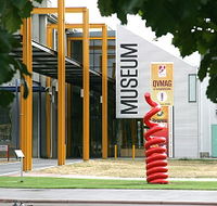 Queen Victoria Museum and Art Gallery - Find Attractions