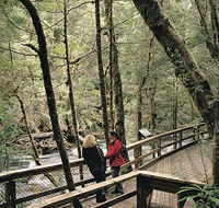 Franklin River Nature Trail - Find Attractions