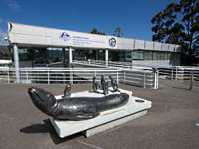 Australia's Antarctic Headquarters - Find Attractions 0