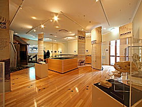 Tasmanian Tiger Exhibition - Find Attractions 0