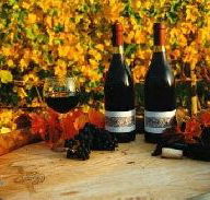 Craigow Vineyard - Find Attractions