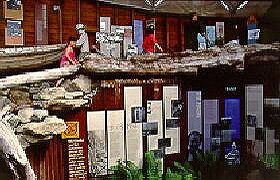 West Coast Visitor Information And Booking Centre - Find Attractions 0