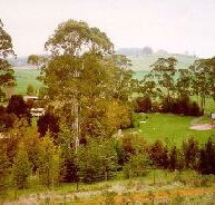 The Tasmanian Arboretum - Find Attractions