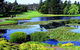 Mowbray Golf Club Ltd - thumb 0