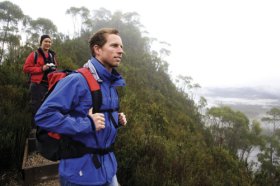Donaghys Lookout Derwent Bridge