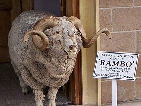 Tasmanian Wool Centre Ross