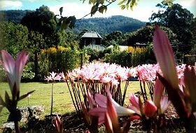 Blueberry Cottage Open Gardens St Marys