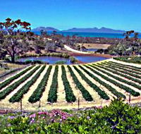 Kate's Berry Farm - Find Attractions