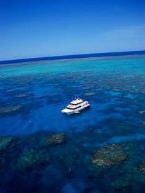 Norman Reef Dive Site - Find Attractions 0