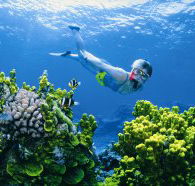 The Whale Dive Site - Find Attractions
