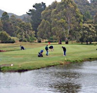 Penguin Golf Course - Find Attractions