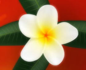 Well Retreat - Day Spa And Teahouse - Find Attractions 0