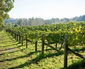 Surveyor's Hill Vineyards - Find Attractions 0