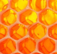 The Honey Pot - Find Attractions