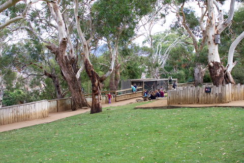 Bonorong Wildlife Sanctuary - Find Attractions 2