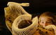 Araluen Cultural Precinct - thumb 4
