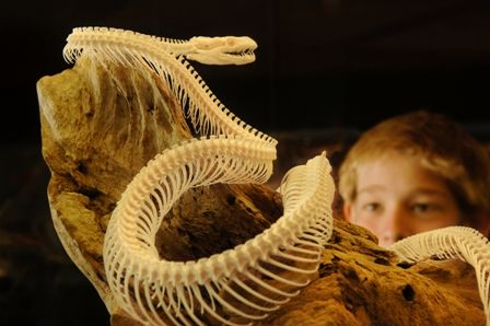 Araluen Cultural Precinct - Find Attractions 4