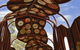 Araluen Cultural Precinct - thumb 5