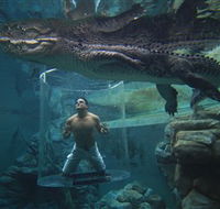 Crocosaurus Cove - Find Attractions